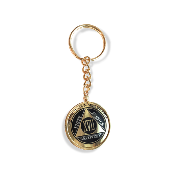 Gold Plated AA Chip Keychain Chip Holder – What An Order